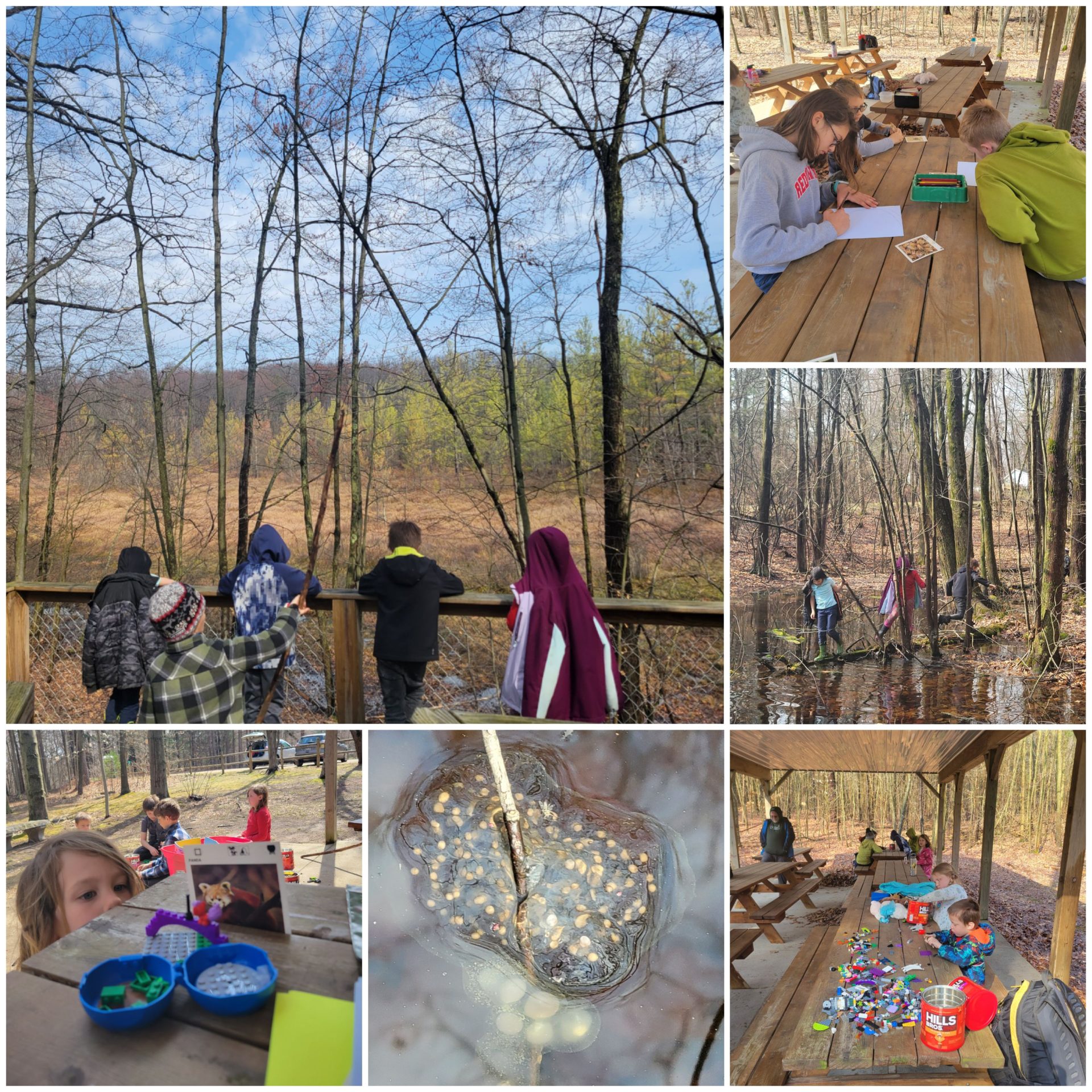 Spring Break Camp 2021 – STEM and Branch